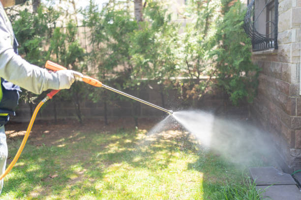 Bird Control in Chipley, FL