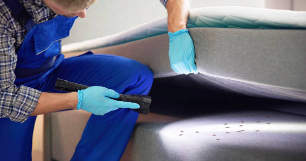 Best Pest Control for Businesses  in Chipley, FL