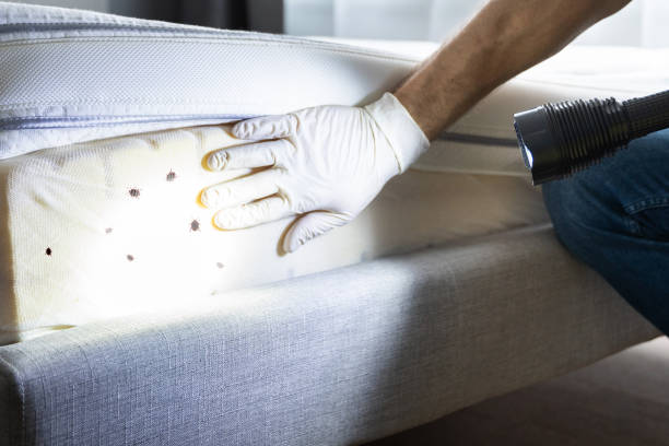 Pest Prevention Services in Chipley, FL